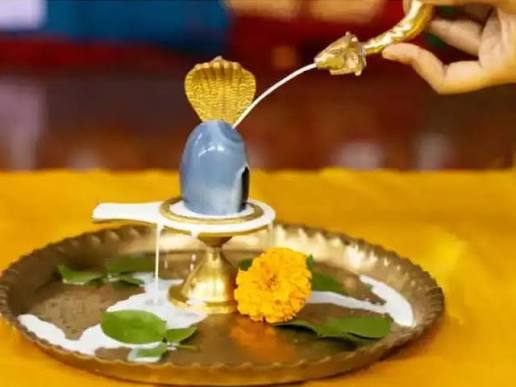 Rudra Abhishekam & Puja